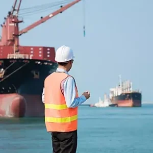 “Vimal International” Custom Clearing & Ocean, Air, Sea Freight, Cargo Forwarding, Shipping Import and Export Mumbai